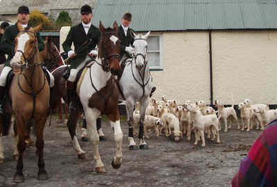 Photo of hounds and riders leaving.
